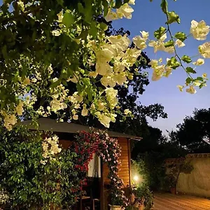 Bed & Breakfast Il Girasole, SantʼAnna Arresi